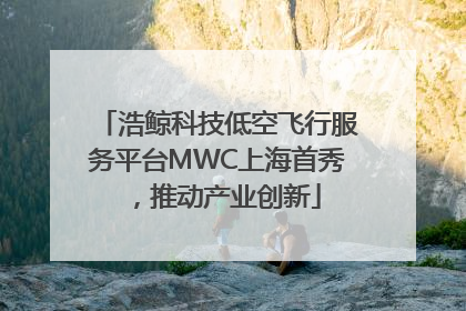 浩鲸科技低空飞行服务平台MWC上海首秀，推动产业创新
