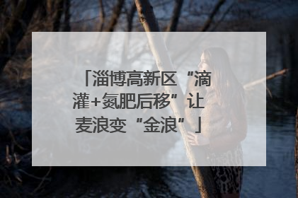 淄博高新区“滴灌+氮肥后移”让麦浪变“金浪”