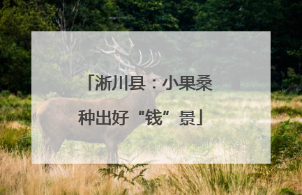 淅川县：小果桑种出好“钱”景