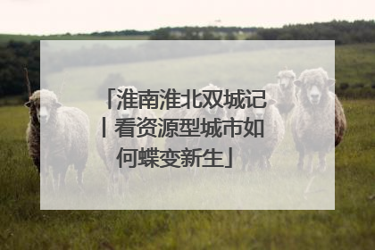 淮南淮北双城记丨看资源型城市如何蝶变新生