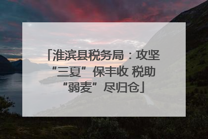 淮滨县税务局：攻坚“三夏”保丰收 税助“弱麦”尽归仓