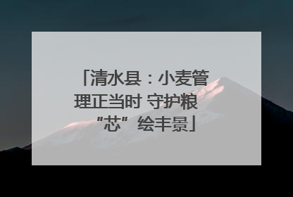 清水县：小麦管理正当时 守护粮“芯”绘丰景