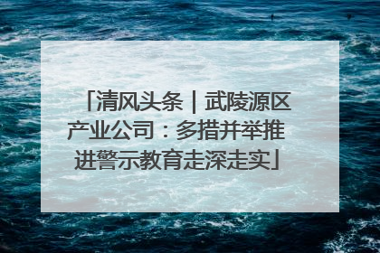 清风头条｜武陵源区产业公司：多措并举推进警示教育走深走实