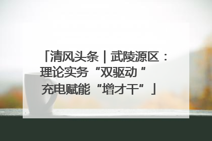 清风头条｜武陵源区：理论实务“双驱动 ” 充电赋能“增才干”