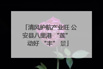 清风护航产业旺 公安县八里港 “莲” 动好 “丰” 景