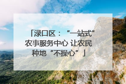 渌口区：“一站式”农事服务中心 让农民种地“不操心”