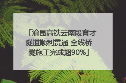 渝昆高铁云南段育才隧道顺利贯通 全线桥隧施工完成超90%
