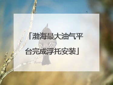 渤海最大油气平台完成浮托安装