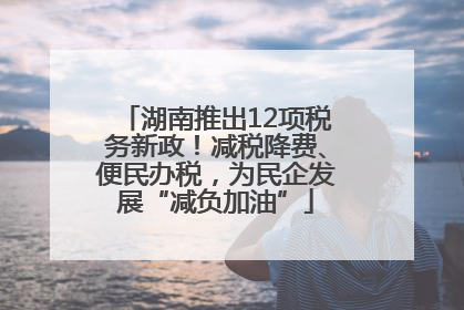 湖南推出12项税务新政！减税降费、便民办税，为民企发展“减负加油”