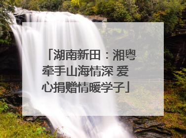 湖南新田：湘粤牵手山海情深 爱心捐赠情暖学子