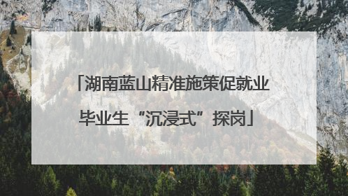 湖南蓝山精准施策促就业 毕业生“沉浸式”探岗
