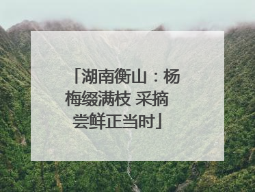 湖南衡山：杨梅缀满枝 采摘尝鲜正当时