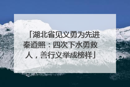 湖北省见义勇为先进秦遵照：四次下水勇救人，善行义举成榜样