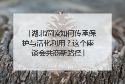 湖北简牍如何传承保护与活化利用？这个座谈会共商新路径