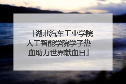 湖北汽车工业学院人工智能学院学子热血助力世界献血日