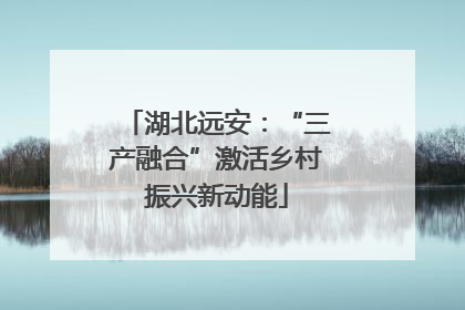 湖北远安：“三产融合”激活乡村振兴新动能
