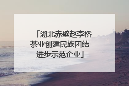 湖北赤壁赵李桥茶业创建民族团结进步示范企业