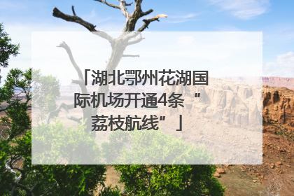 湖北鄂州花湖国际机场开通4条“荔枝航线”