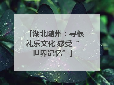 湖北随州：寻根礼乐文化 感受“世界记忆”