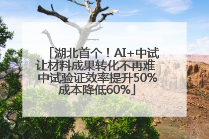 湖北首个！AI+中试让材料成果转化不再难 中试验证效率提升50%成本降低60%