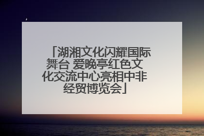 湖湘文化闪耀国际舞台 爱晚亭红色文化交流中心亮相中非经贸博览会