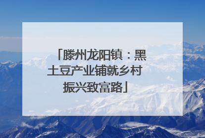 滕州龙阳镇：黑土豆产业铺就乡村振兴致富路