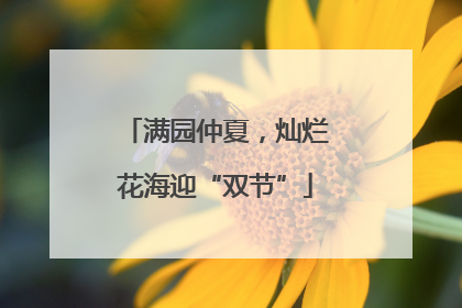 满园仲夏，灿烂花海迎“双节”