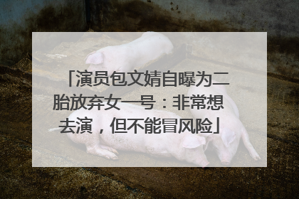 演员包文婧自曝为二胎放弃女一号：非常想去演，但不能冒风险