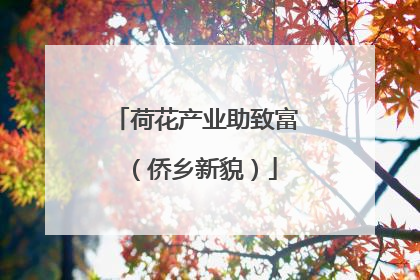 荷花产业助致富（侨乡新貌）