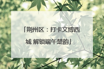 荆州区：打卡文博西城 解锁端午楚韵