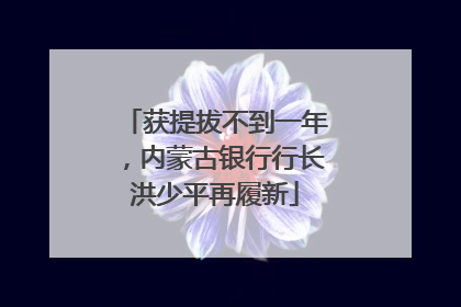 获提拔不到一年，内蒙古银行行长洪少平再履新