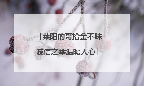 莱阳的哥拾金不昧 诚信之举温暖人心