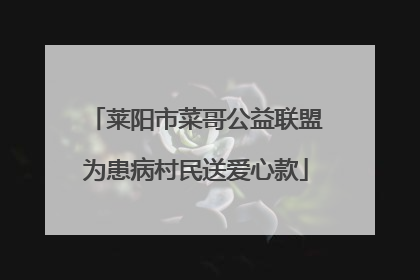 莱阳市菜哥公益联盟为患病村民送爱心款