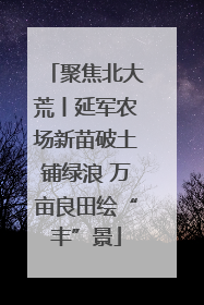 聚焦北大荒丨延军农场新苗破土铺绿浪 万亩良田绘“丰”景