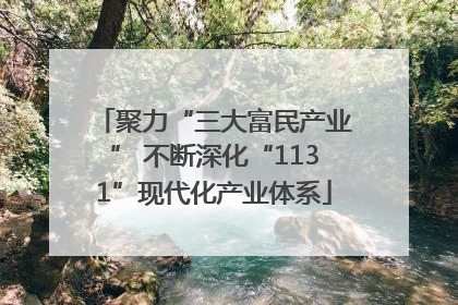 聚力“三大富民产业” 不断深化“1131”现代化产业体系