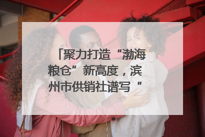 聚力打造“渤海粮仓”新高度，滨州市供销社谱写“三夏”丰收乐章