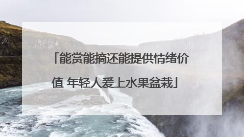 能赏能摘还能提供情绪价值 年轻人爱上水果盆栽