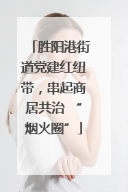 胜阳港街道党建红纽带，串起商居共治 “烟火圈”