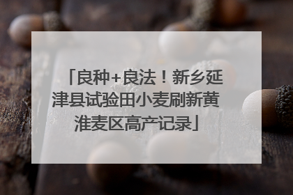 良种+良法！新乡延津县试验田小麦刷新黄淮麦区高产记录