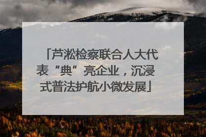 芦淞检察联合人大代表“典”亮企业，沉浸式普法护航小微发展