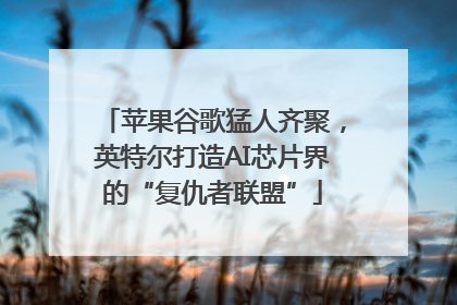 苹果谷歌猛人齐聚，英特尔打造AI芯片界的“复仇者联盟”