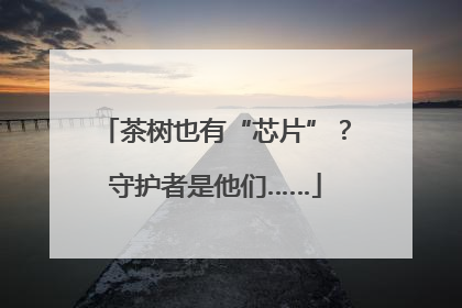 茶树也有“芯片”？守护者是他们……