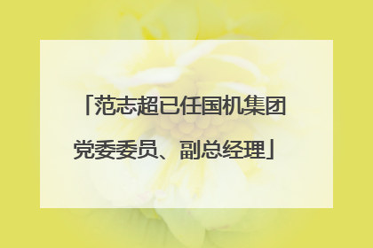 范志超已任国机集团党委委员、副总经理