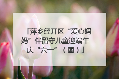 萍乡经开区“爱心妈妈”伴留守儿童迎端午庆“六一”（图）