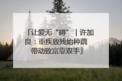 让爱无“碍”｜许加良：重疾致残始种藕 带动致富靠双手