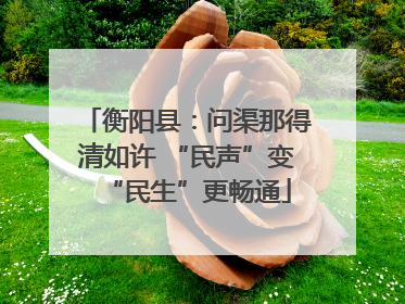 衡阳县：问渠那得清如许 “民声”变“民生”更畅通