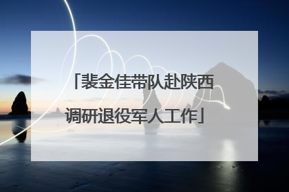 裴金佳带队赴陕西调研退役军人工作