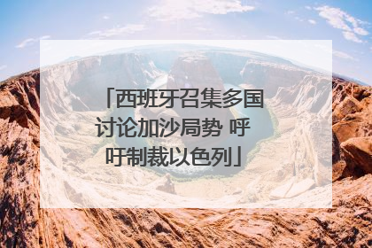 西班牙召集多国讨论加沙局势 呼吁制裁以色列