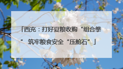 西充：打好夏粮收购“组合拳” 筑牢粮食安全“压舱石”
