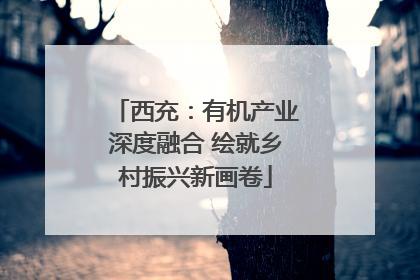 西充：有机产业深度融合 绘就乡村振兴新画卷